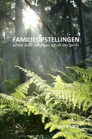 Afbeelding van het boek Familieopstellingen door Jan Velsen